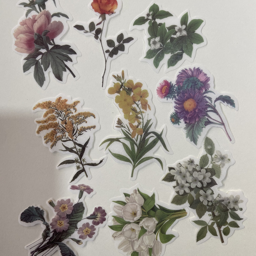 60pc/bag Vintage Flowers Plant - Embellishments For Scrapbooking avaliação e preço