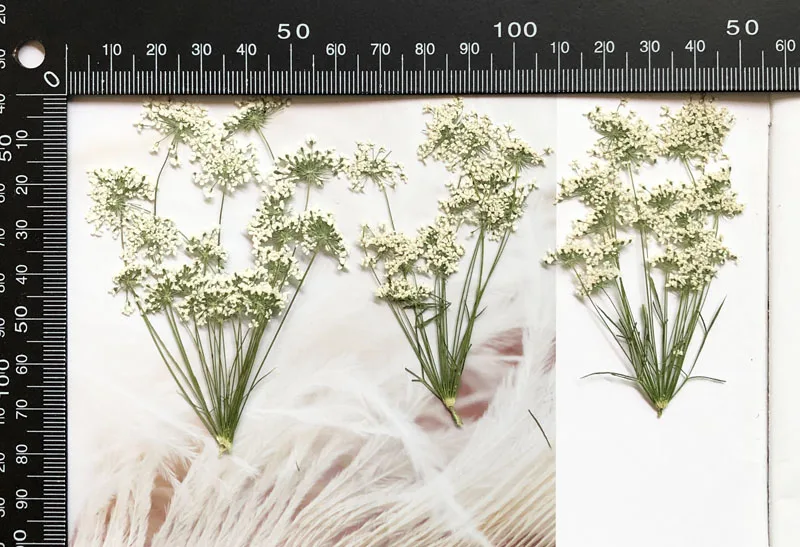 5-7cm/12pcs,Snow Tiny Flowers  - Craft Embellishments avaliação e preço