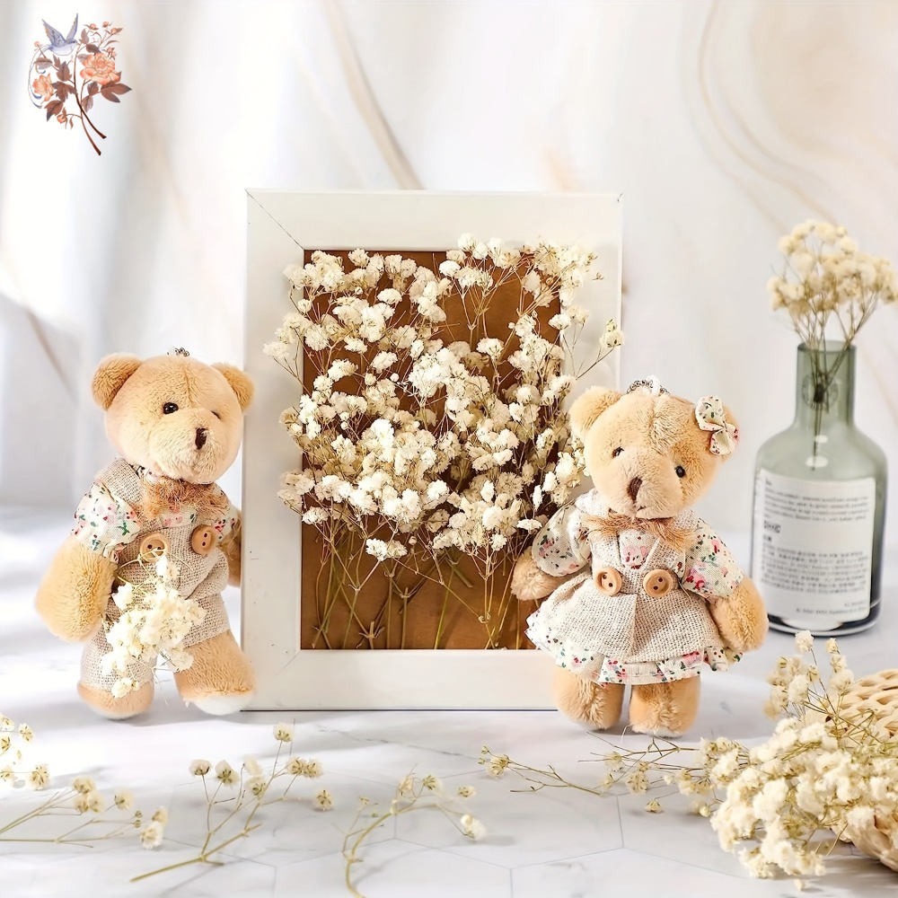 100pcs Mini Dried Baby's Breat - Craft Embellishments avaliação e preço